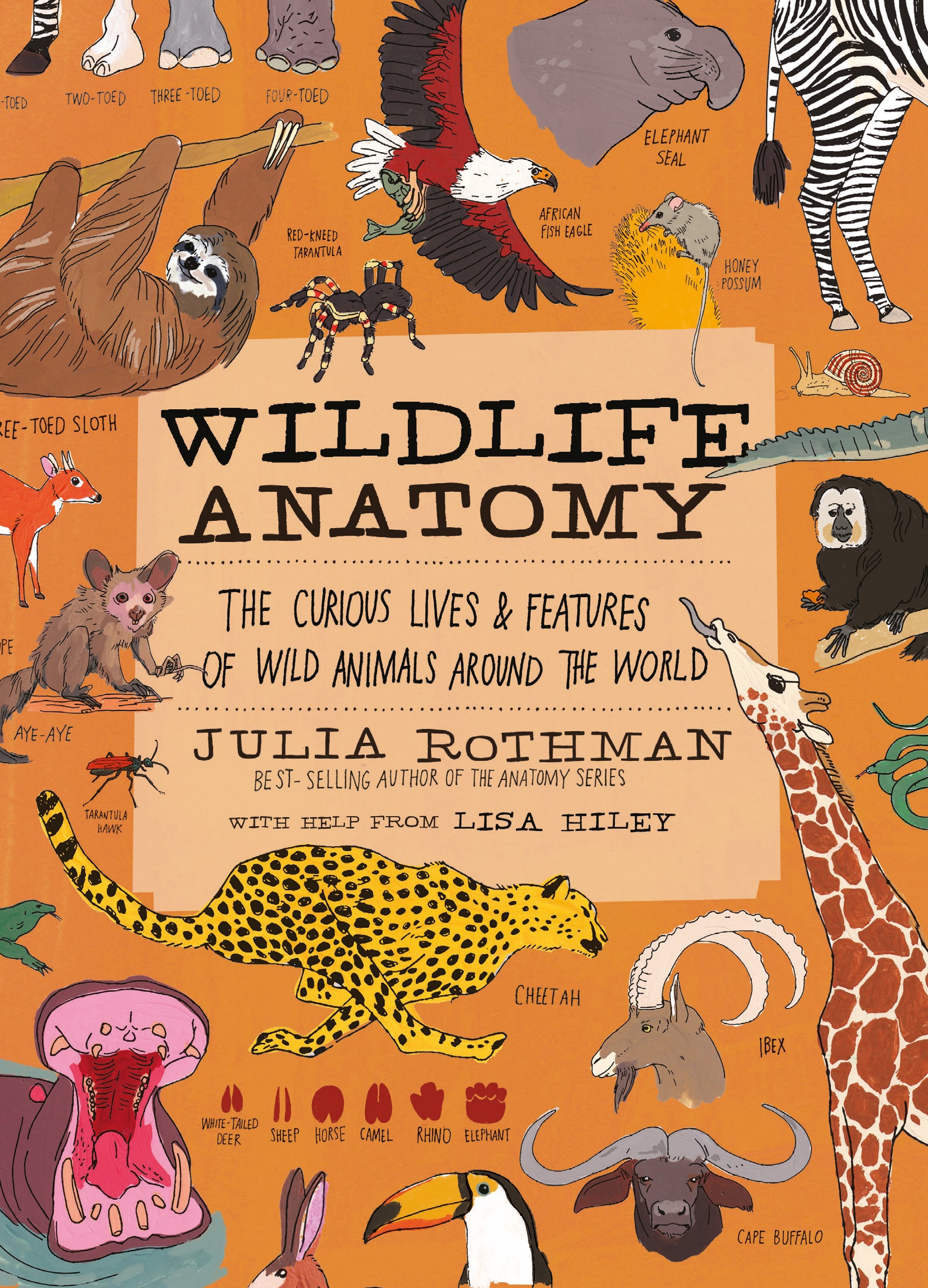 Wildlife Anatomy by Julia Rothman — Paperback
