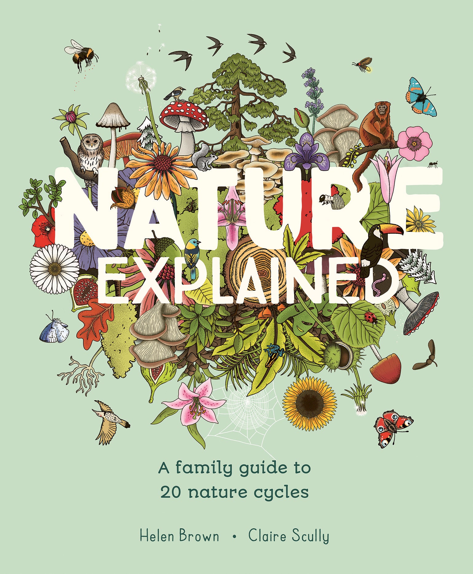 Nature Explained by Helen Brown — Hardback