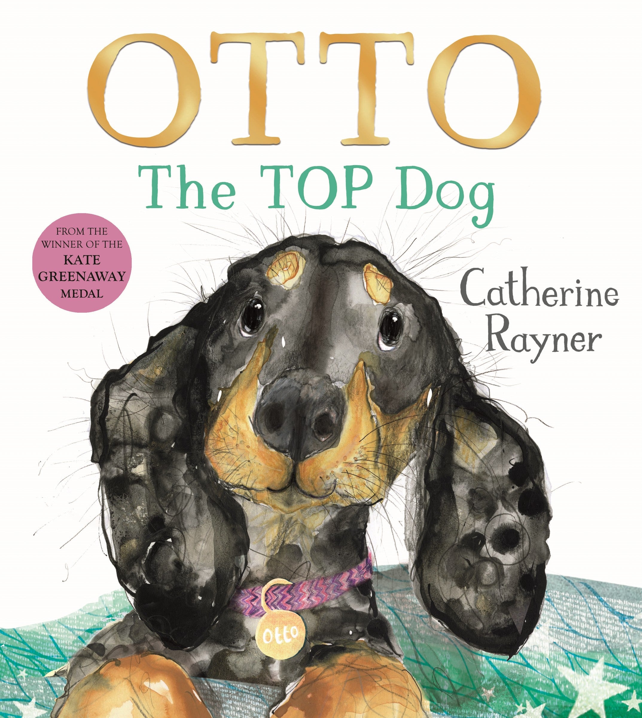 Otto by Catherine Rayner — Hardback