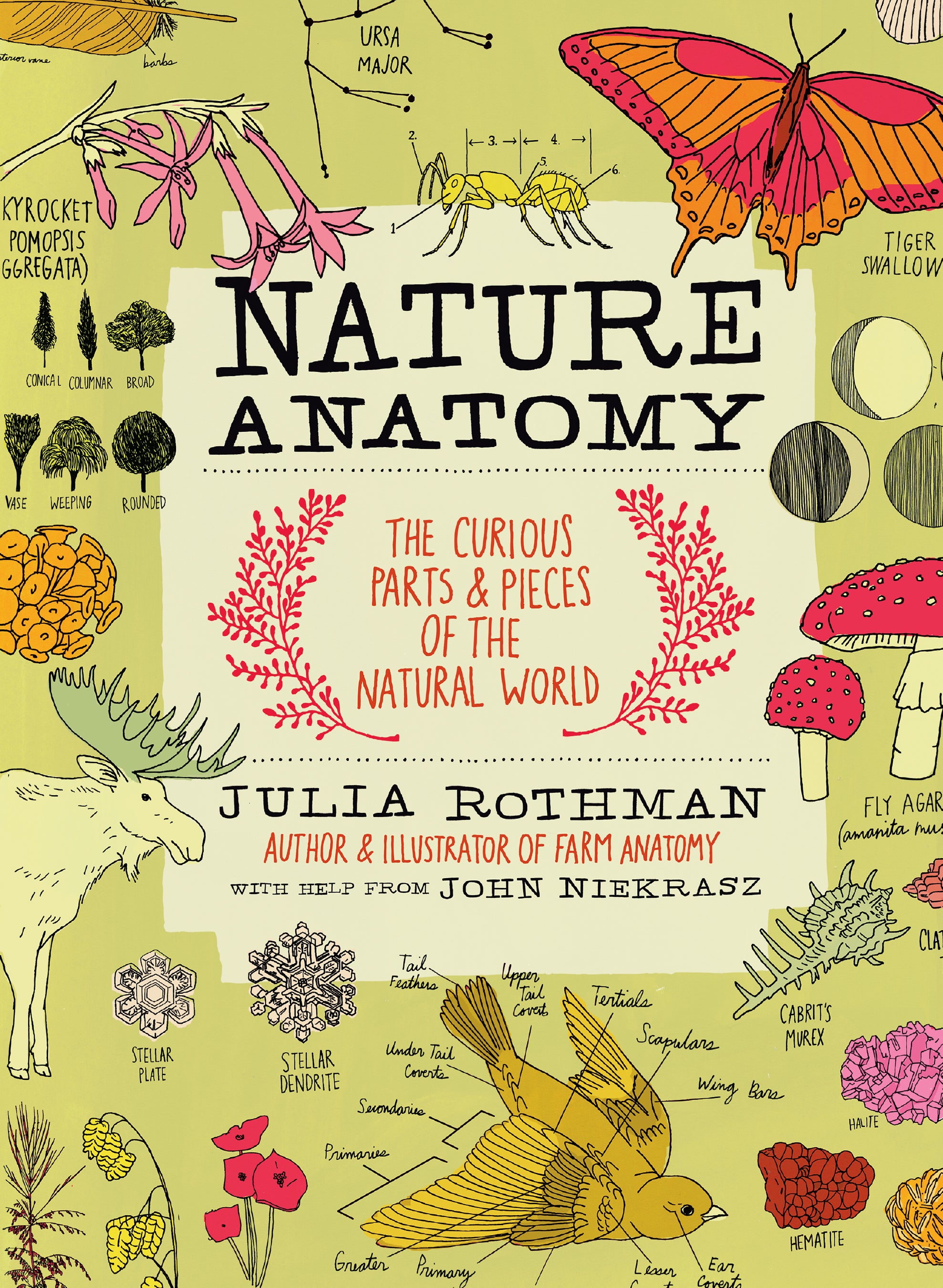 Nature Anatomy by Julia Rothman — Paperback
