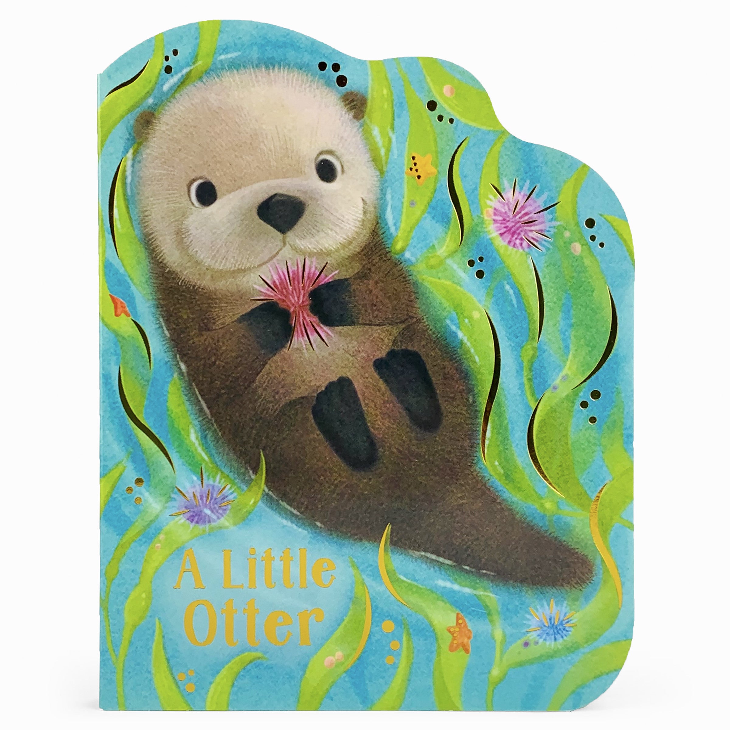 A Little Otter by Rosalee Wren — Board Book