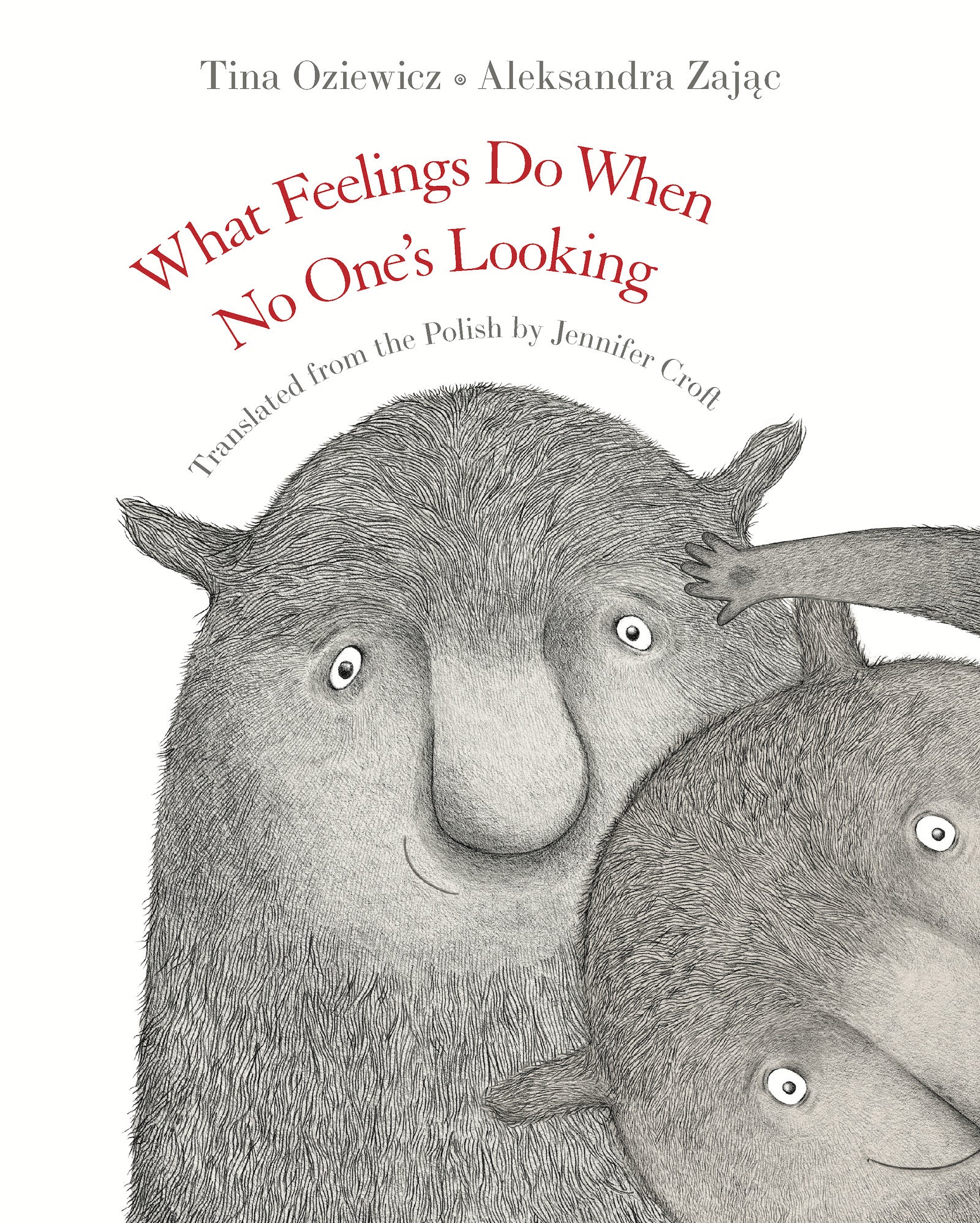 What Feelings Do When No One’s Looking by Tina Oziewicz — Hardback