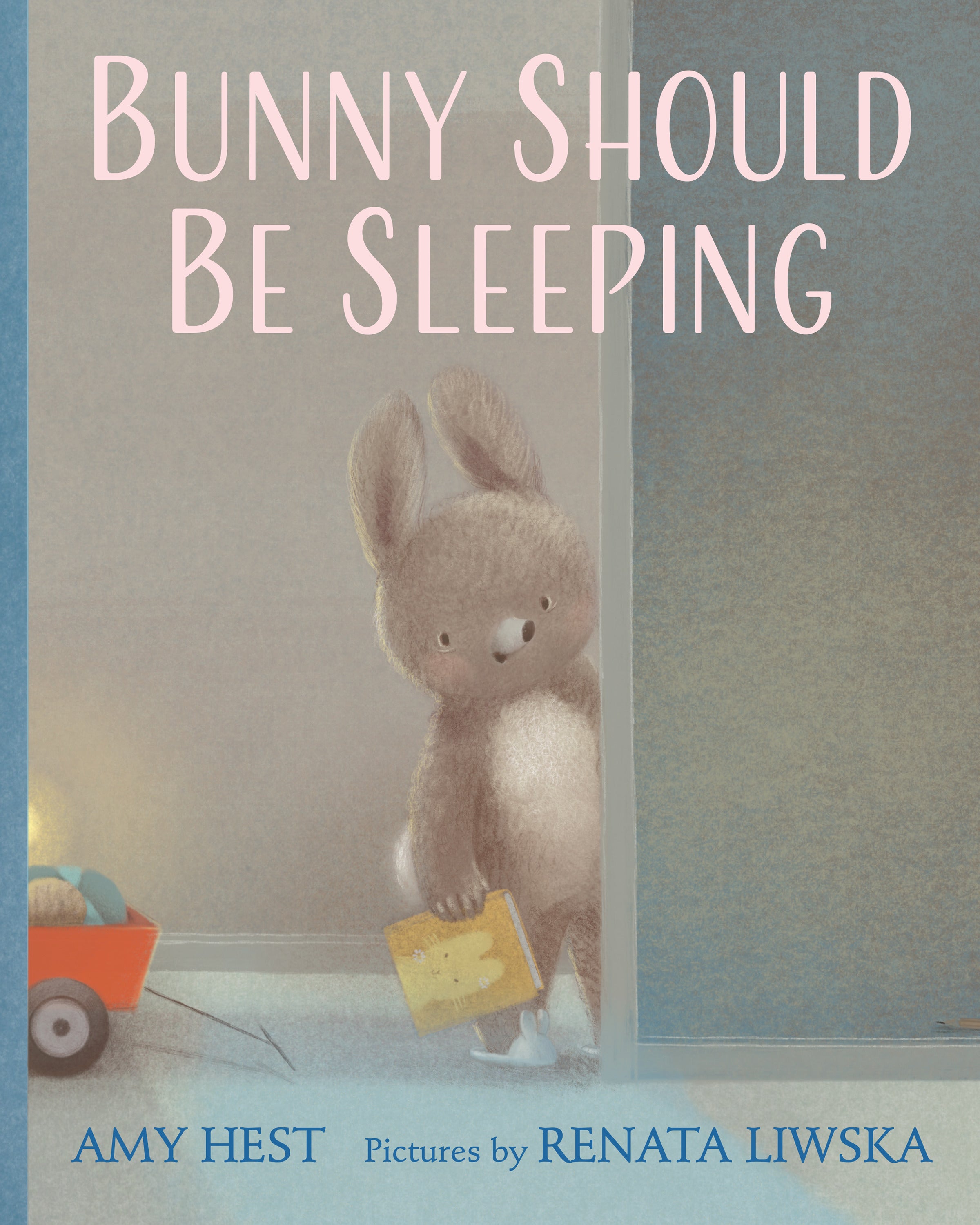 Bunny Should Be Sleeping by Amy Hest — Hardback