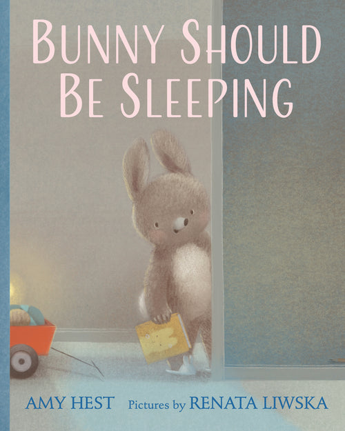 Bunny Should Be Sleeping by Amy Hest — Hardback