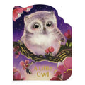 A Little Owl by Cottage Door Press — Board Book