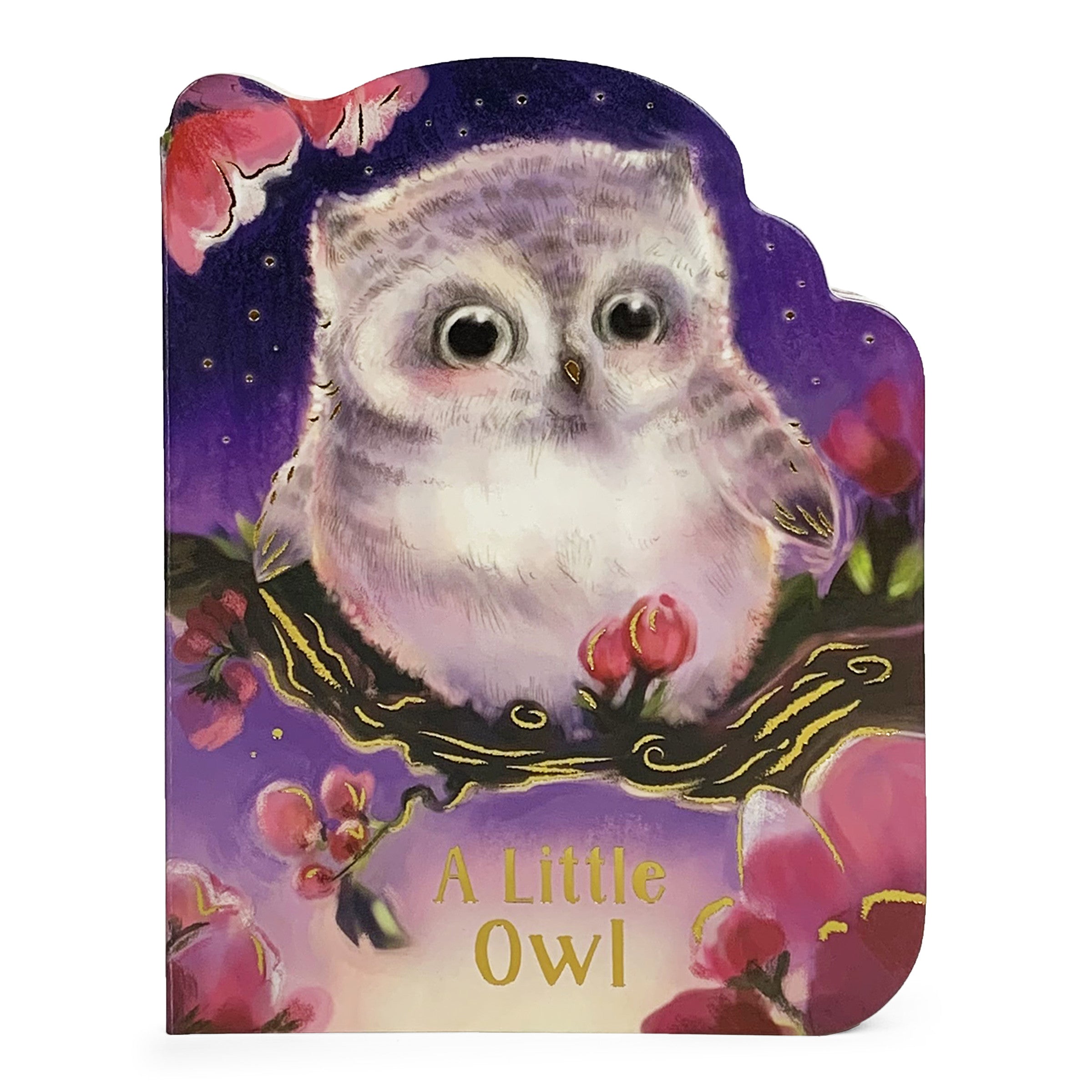 A Little Owl by Cottage Door Press — Board Book